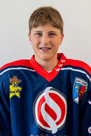 Viktor Friesen