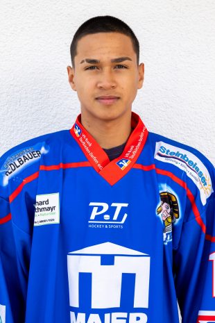Paul Westner